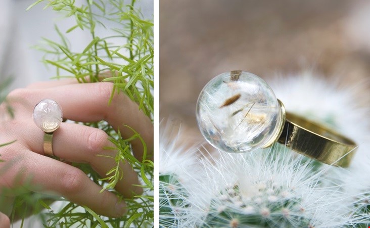 Vergeet-mij-niet... Vergeet-mij-niet...