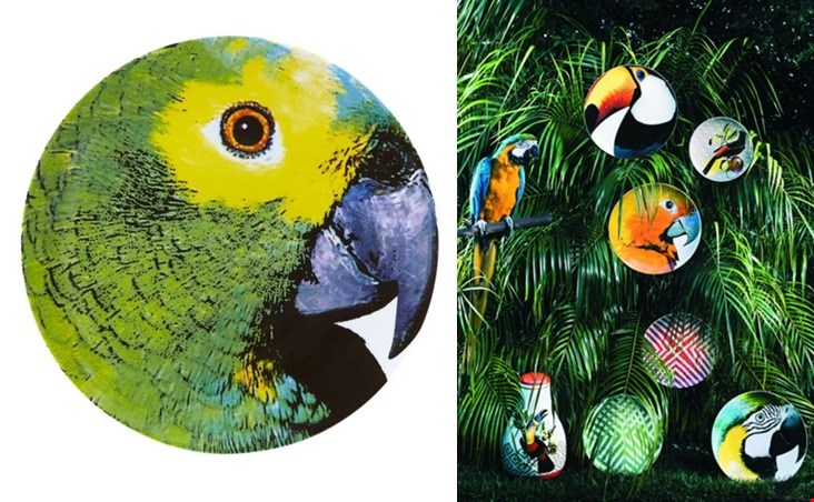 Voor een tropische sfeer: de borden uit de Olhar o Brazilië serie Voor een tropische sfeer: de borden uit de Olhar o Brazilië serie