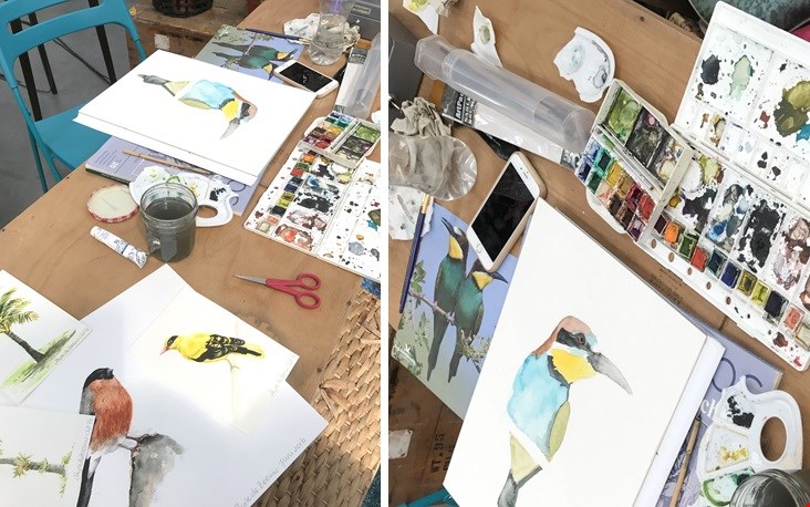 De vogel links (van Myrte) is nu in mijn bezit!  De vogel links (van Myrte) is nu in mijn bezit!