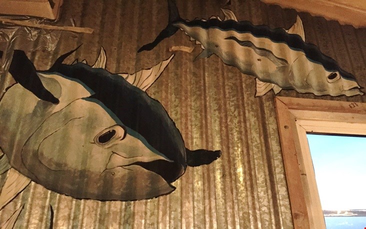 Gote starende vissen bij Strandtent West aan Zee Gote starende vissen bij Strandtent West aan Zee