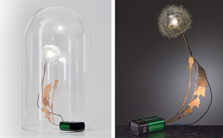 Zo mooi: lampje Dandelion Zo mooi: lampje Dandelion