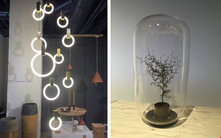 Lamoen links: Halo. Rechts: Pika Plant. Lamoen links: Halo. Rechts: Pika Plant.