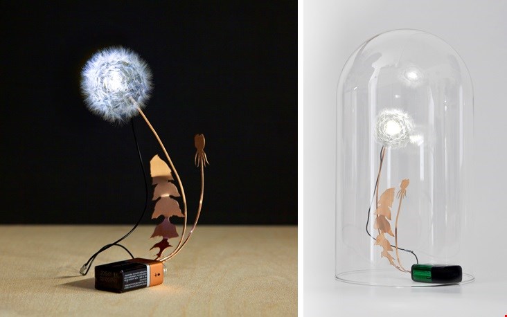 Zó mooi: Dandelight Zó mooi: Dandelight