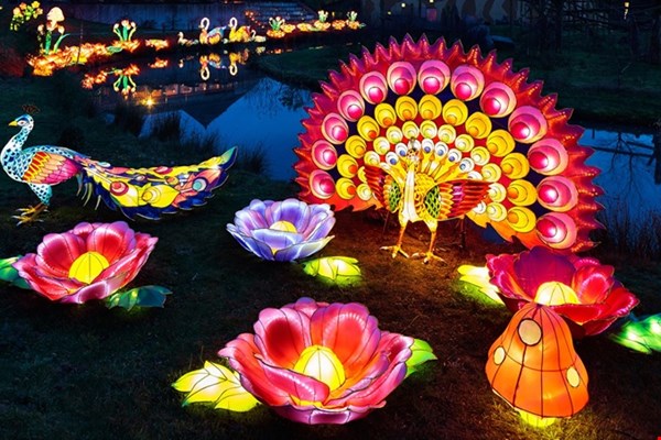 African by Light festival African by Light festival