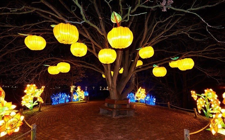 Een magisch lichtfestival! Een magisch lichtfestival!