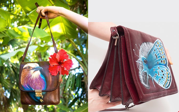 Lost bird in Costa Rica en Butterfly Safari Lost bird in Costa Rica en Butterfly Safari