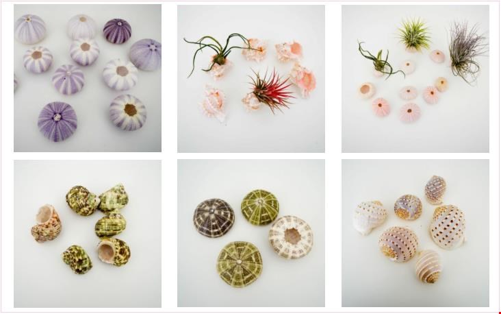 accessoires om het te personaliseren accessoires om het te personaliseren