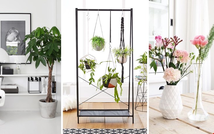 Veel groen in een Scandinavisch interieur! Veel groen in een Scandinavisch interieur!