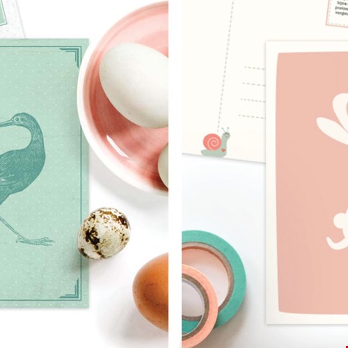 Studiodraak Studiodraak