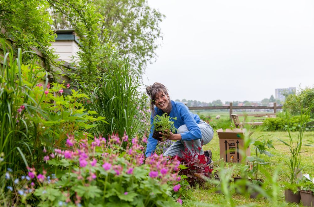 Een tuin vol bloemen met Sprinklr